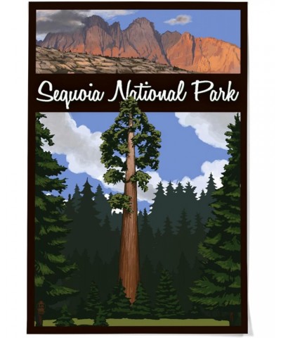 36x54 Inch Giclee Art Print Wall Decor, Sequoia National Park, California, Big Tree and Palisades $43.20 Totes